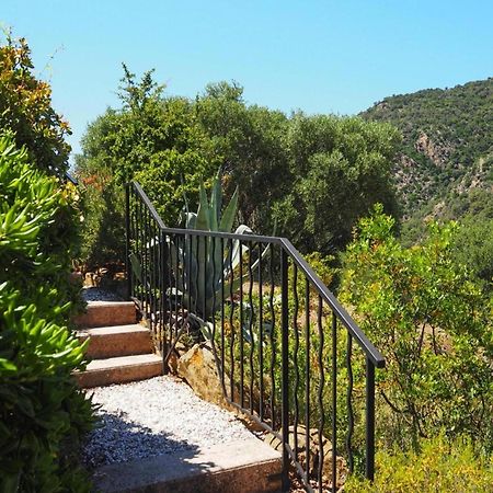 Pretty Tiny House With Sea View, Le Lavandou Exterior photo